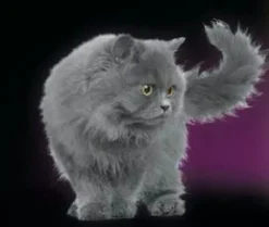 Dr Darwin gatos adultos Cats evolution