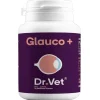 Dr Vet Glauco+ 30 comprimidos | Complemento para glaucoma en perros y gatos