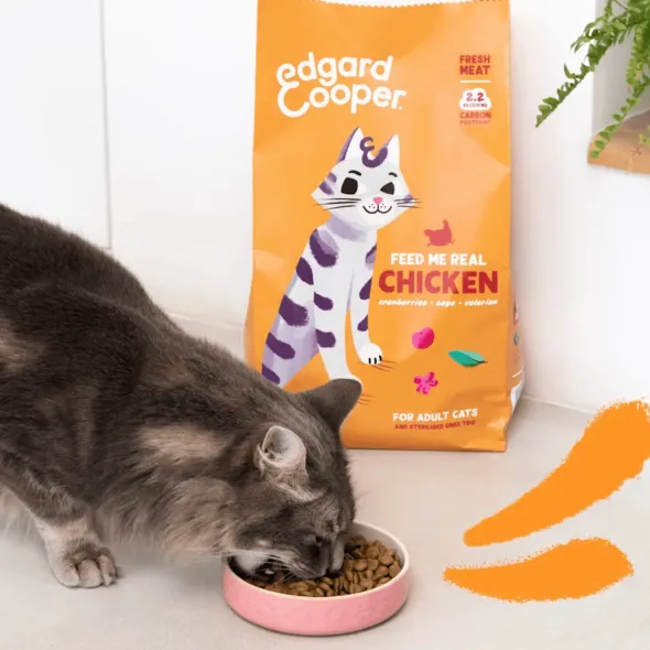 Edgard Cooper gato Pollo sin cereales pienso gatos adultos y esterilizados