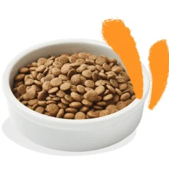 Edgard Cooper gato Pollo sin cereales pienso gatos adultos y esterilizados