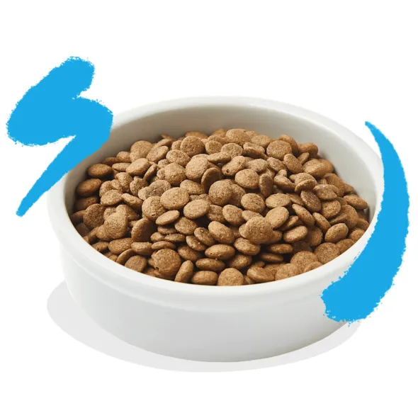 Edgard Cooper gato Salmón sin cereales pienso gatos adultos y esterilizados