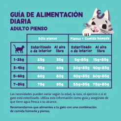 Edgard Cooper gato Salmón sin cereales pienso gatos adultos y esterilizados