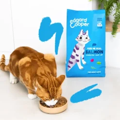 Edgard Cooper gato Salmón sin cereales pienso gatos adultos y esterilizados
