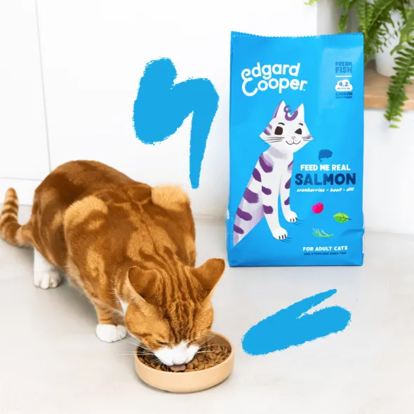 Edgard Cooper gato Salmón sin cereales pienso gatos adultos y esterilizados