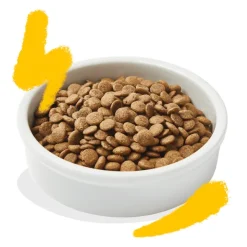 Edgard Cooper gatos Pavo Pollo sin cereales pienso gatos adultos y esterilizados