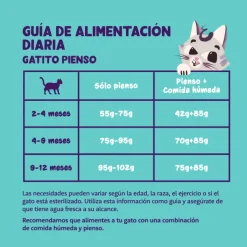 Edgard Cooper Pato Pollo kitten sin cereales pienso gatitos