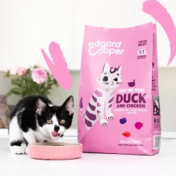 Edgard Cooper Pato Pollo kitten sin cereales pienso gatitos