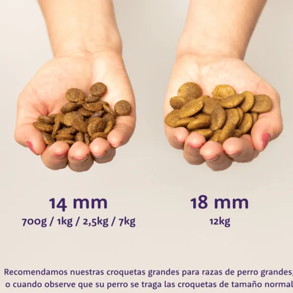 Edgard Cooper Pato Pollo puppy sin cereales pienso cachorros