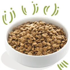 Edgard Cooper perros Cordero sin cereales perros adultos