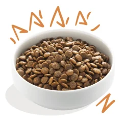 Edgard Cooper perros Pollo sin cereales perros adultos