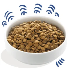 Edgard Cooper perros Salmón sin cereales perros adultos