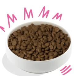 Edgard Cooper Remolacha Calabaza crujientes pienso vegano para perros