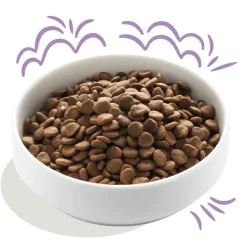 Edgard Cooper Salmón Pavo puppy sin cereales pienso cachorros