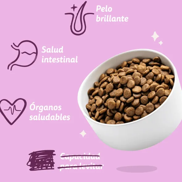 Edgard Cooper Venado y Pato de Corral Perro Adulto Pienso Natural Sin Cereales