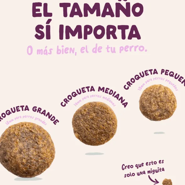 Edgard Cooper Venado y Pato de Corral Perro Adulto Pienso Natural Sin Cereales