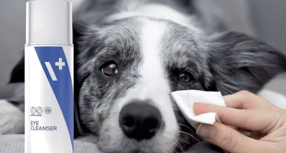 Eye Cleanser VetExpert limpiador alrededor ojo perros gatos 100 ml