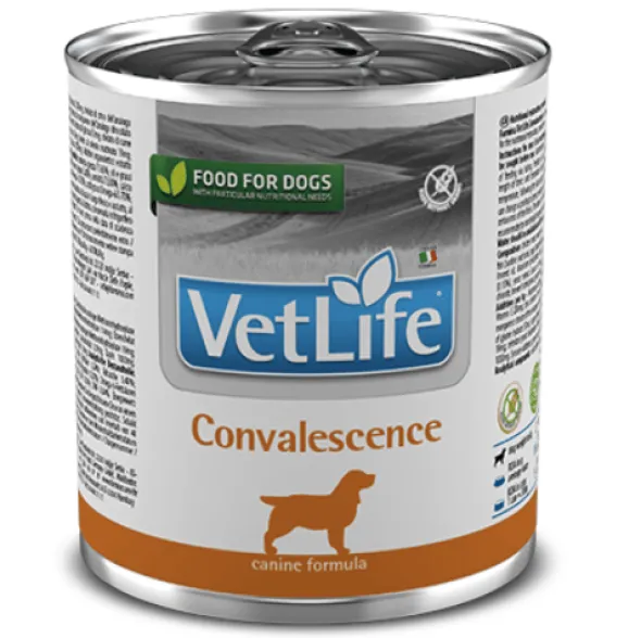 Farmina Vet Life Convalescence perros 300 g