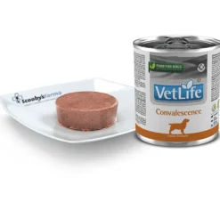 Farmina Vet Life Convalescence perros 300 g