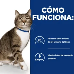 Feline Urinare Care S/D HILL´S gatos