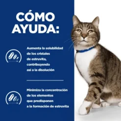 Feline Urinare Care S/D HILL´S gatos