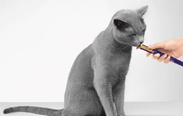Feliway HAPPY SNACK de pollo para gatos