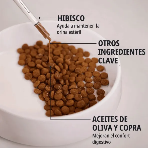 FELURO tracto urinario en gatos 60 ml