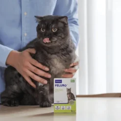 FELURO tracto urinario en gatos 60 ml