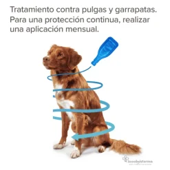 FIPROtec Pipetas Antiparasitarias Perros Beaphar 4 pipetas