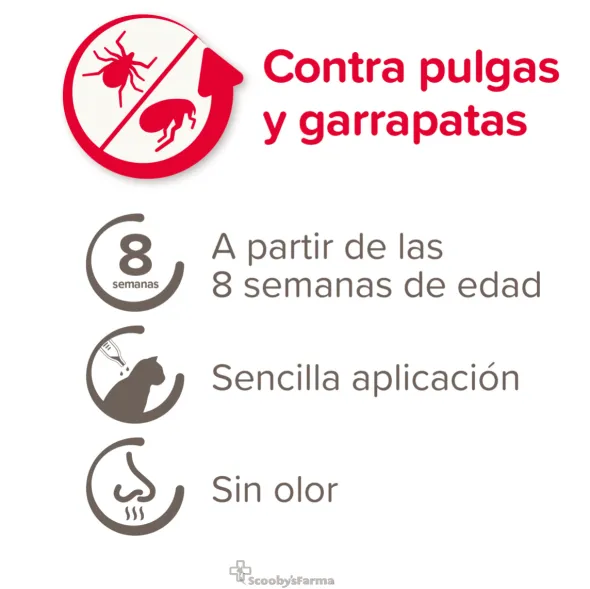 Fiprotec Spot on pipetas antiparasitarias gatos