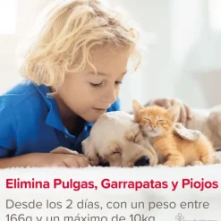 FIPROtec SPRAY antiparasitario perros gatos Beaphar 100 ml