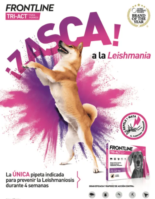 Frontline pipetas Tri-Act 20-40 kg para perros