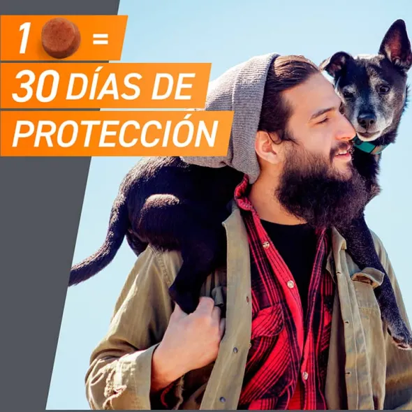 FRONTPRO contra Pulgas Y Garrapatas Perros 3 comprimidos
