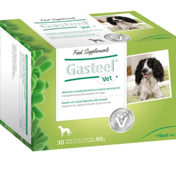 GASTEEL VET simbiótico salud digestiva perros 30 sobres de 3 g