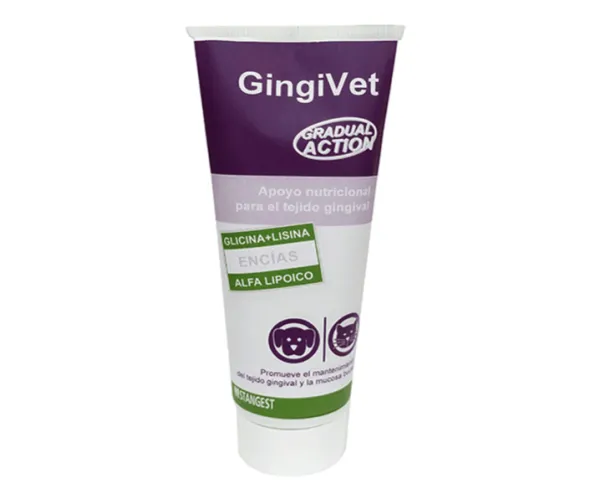 GINGIVET PASTA afecciones encías perros y gatos 100 g