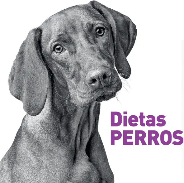 Hypoallergenic ULTRA dog VetExpert perros