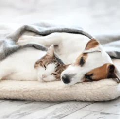 KalmVet calmante perros gatos 60 cápsulas