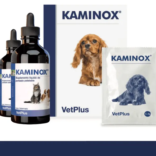 KAMINOX renal y urinario perros y gatos