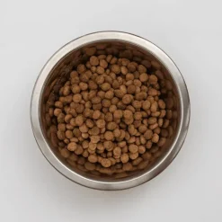 KJ1 Early Kidney and Joint Gatos pienso movilidad articular