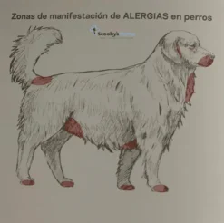 Lenda Vet ALLERGIC SOLUTION alergias perros