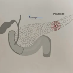 Lenda Vet DIABETIC diabetes mellitus perros