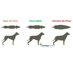Lenda Vet SLIMMING STERILIZED bajo en grasas perros adultos