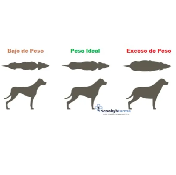 Lenda Vet SLIMMING STERILIZED bajo en grasas perros adultos
