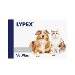 LYPEX problemas pancreáticos perros gatos 60 cápsulas