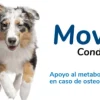Movejoint condroprotector puro osteoartritis perros 120 comp