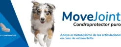 Movejoint condroprotector puro osteoartritis perros 120 comp