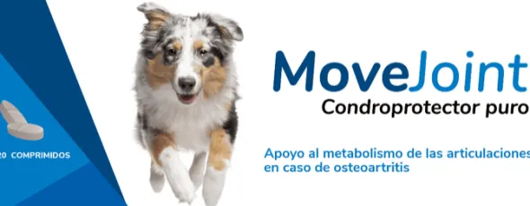 Movejoint condroprotector puro osteoartritis perros 120 comp