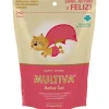 Multiva Active Cat, Suplemento Vitamínico 45u gato
