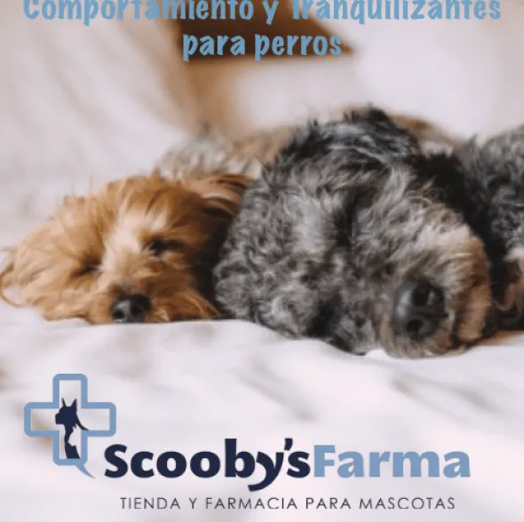 Multiva Calming perros medianos grandes Calmante perros 25 chews
