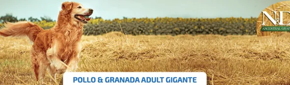 ND Ancestral Gigante Pollo Granada perros adultos 12 kg