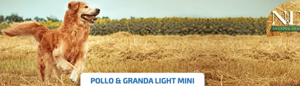 ND Ancestral LIGHT Mini Pollo Granada perros mini adultos con sobrepeso 2,5 kg